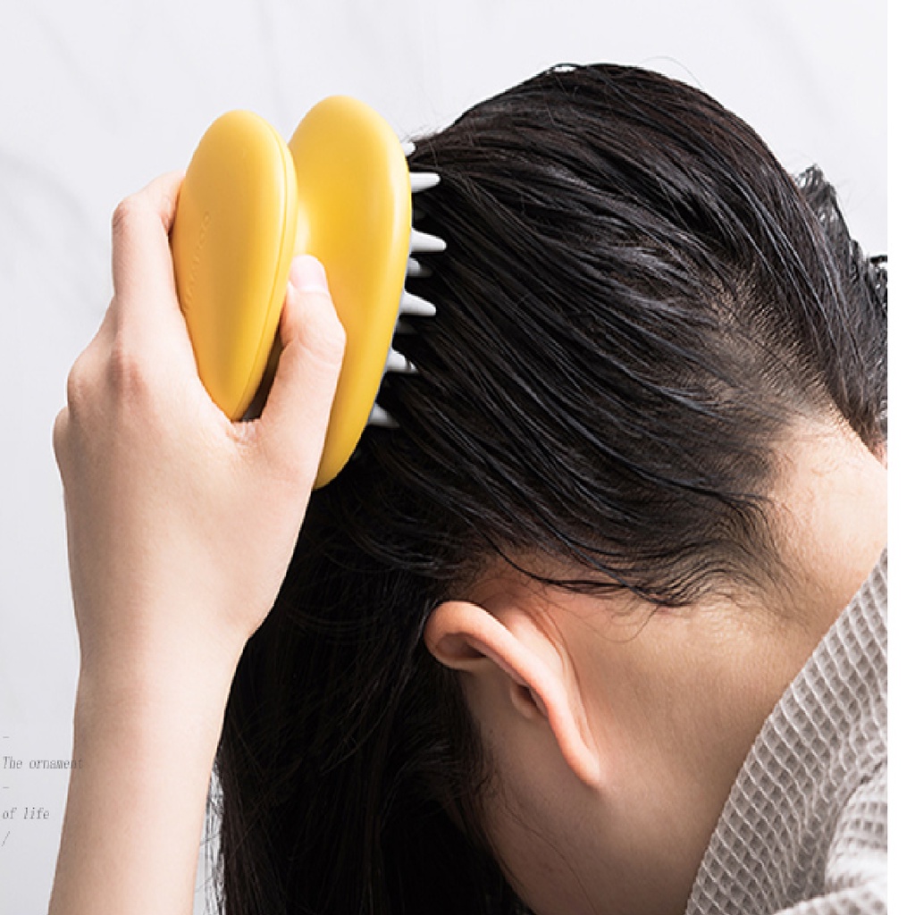 Hair Scalp Massager Shampoo Brush, Wet & Dry Manual Head Scalp Massage