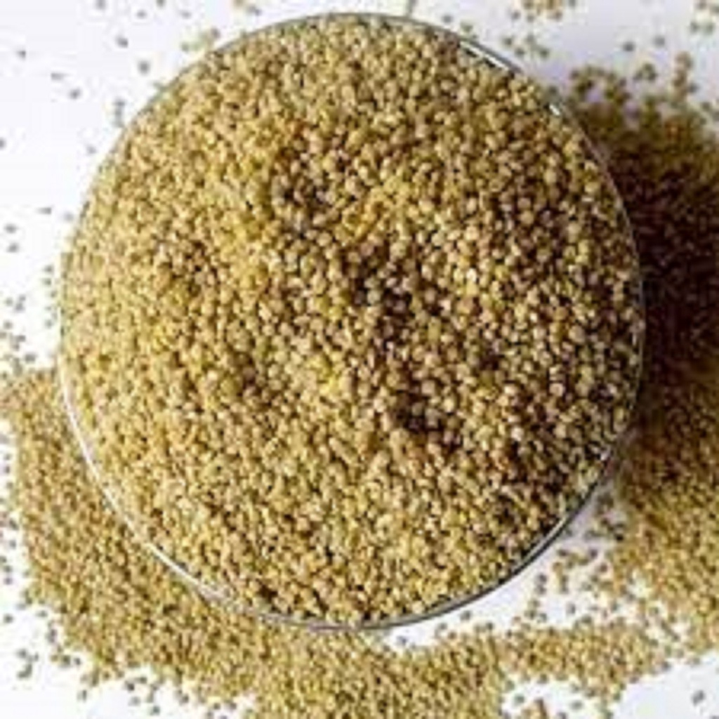 2-kg-moti-kangni-seed-bird-food-foxtail-millet-brown-big-shopee-india
